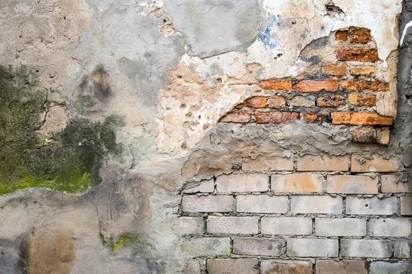 Reducing Mold Risks Through Effective Water Damage Restoration