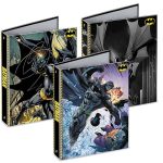 206331 large raccoglitore batman