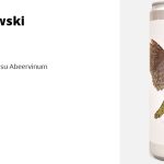 00000000000nuove birre brewski ipa e pilsner su abeervinum