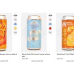 Birra artigianale Vault City acquista le novita Fruited Sour online