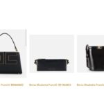 Borse Elisabetta Franchi AI 202627 accessori e nuovi arrivi